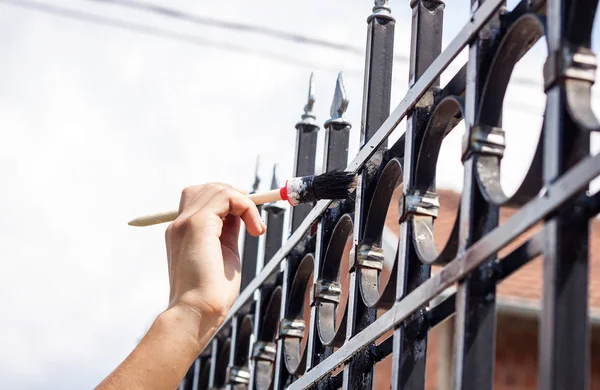 Deck & Fence Painting